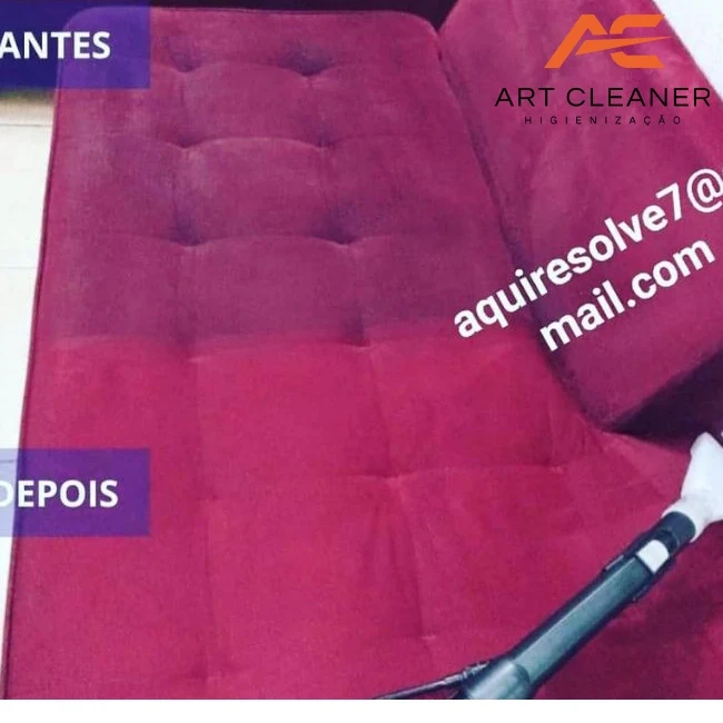 Registro oficial de higienização de sofá de veludo bordô